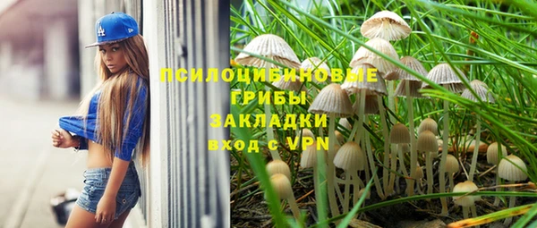 скорость Алзамай