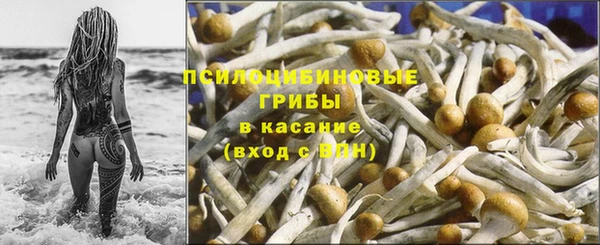 шишки Алексеевка