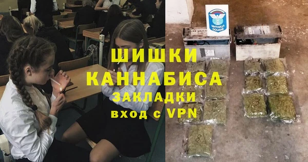 шишки Алексеевка