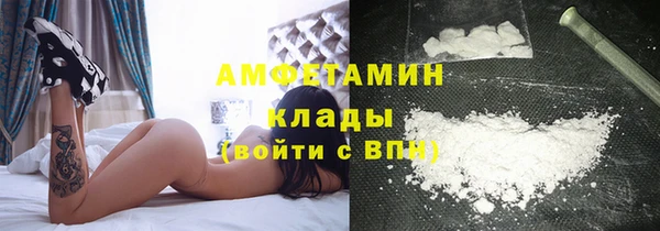 амф Алексин