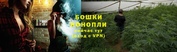 шишки Алексеевка