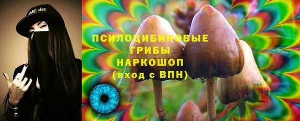 скорость Алзамай